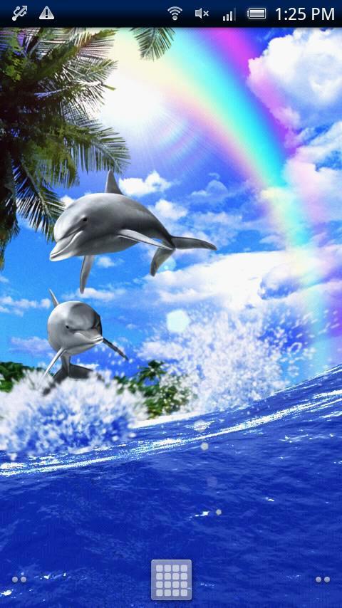 Dolphin-Champion!Free