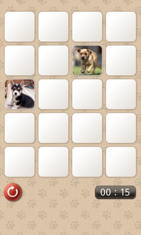 Dogs Memo