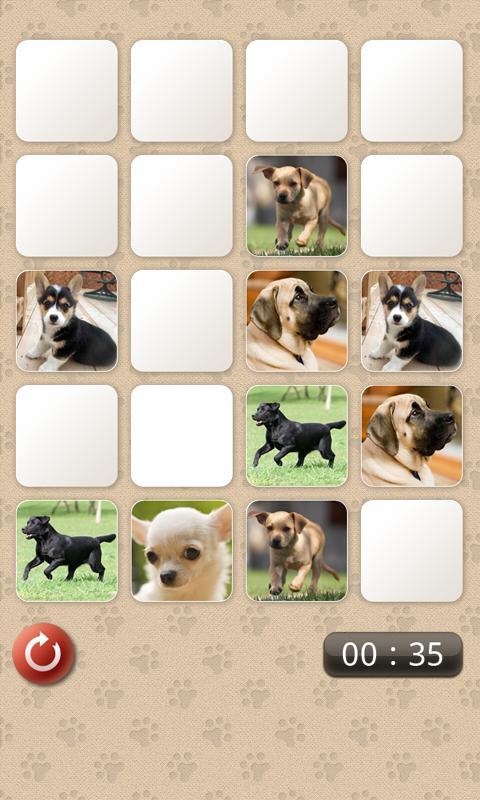Dogs Memo